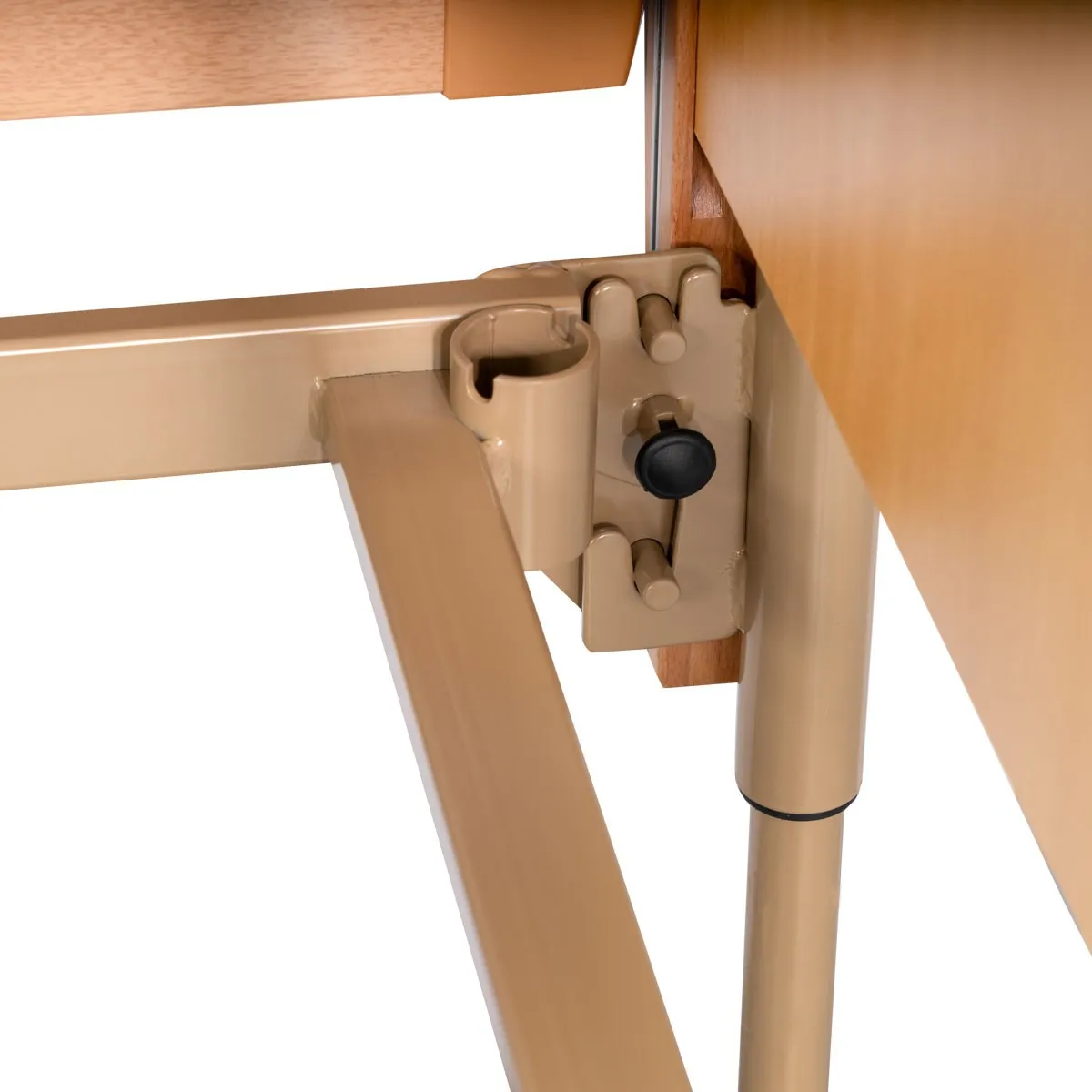 VIRGO ELECTRIC MULTI-STORAGE BED