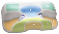 C-PAP ANATOMICAL SLEEP PILLOW